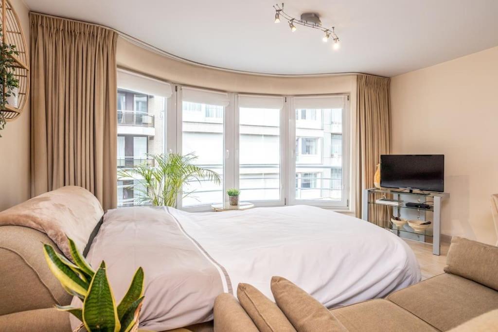 Top Studio Knokke Bij Zeedijk! מראה חיצוני תמונה